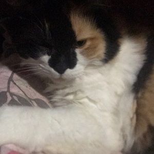 Meet your Posher, Adrianna